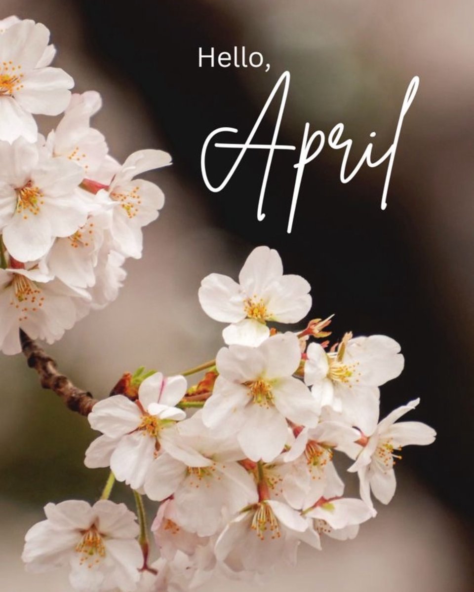 Suyapa Regina Elvir (@elvirsurela) on Twitter photo 