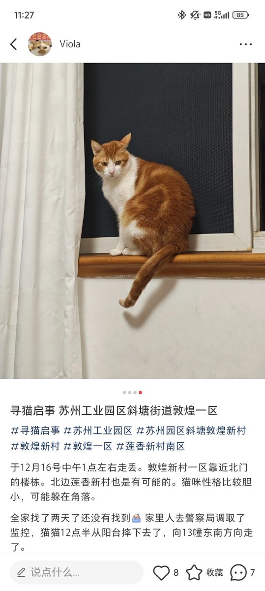 Deris_Sunda's tweet photo. "Rainy days are better with a furry co-pilot  Curled up, purring, and turning 'meh' into 'magic'—my cat’s the ultimate mood fixer. Who’s your weather buddy " https://t.co/Zb0ONzcawO