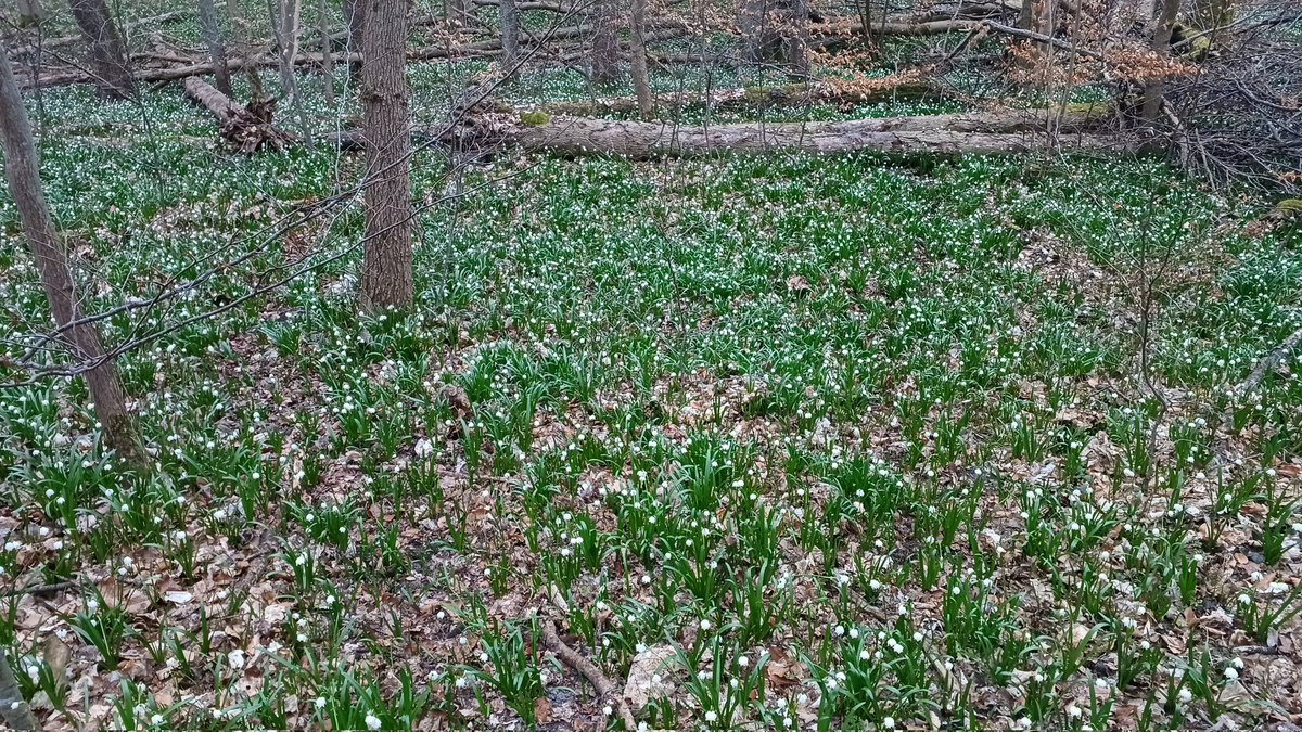 Anna Rake tweet media