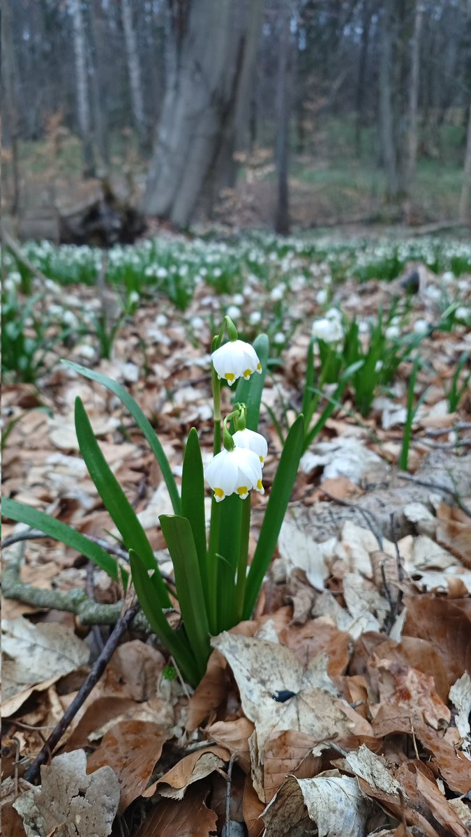 Anna Rake tweet media