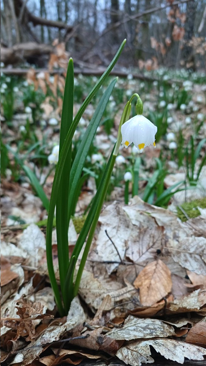 Anna Rake tweet media