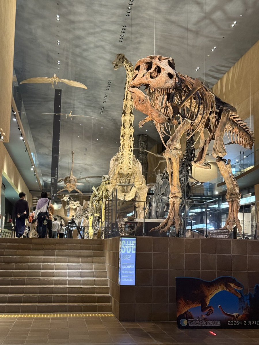 sephi@友達無くすドルモーア tweet media