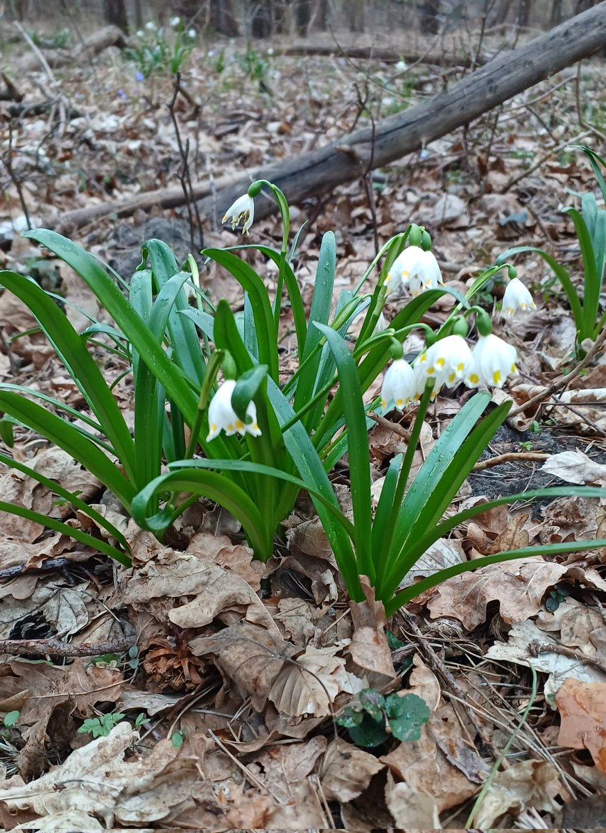 Anna Rake tweet media