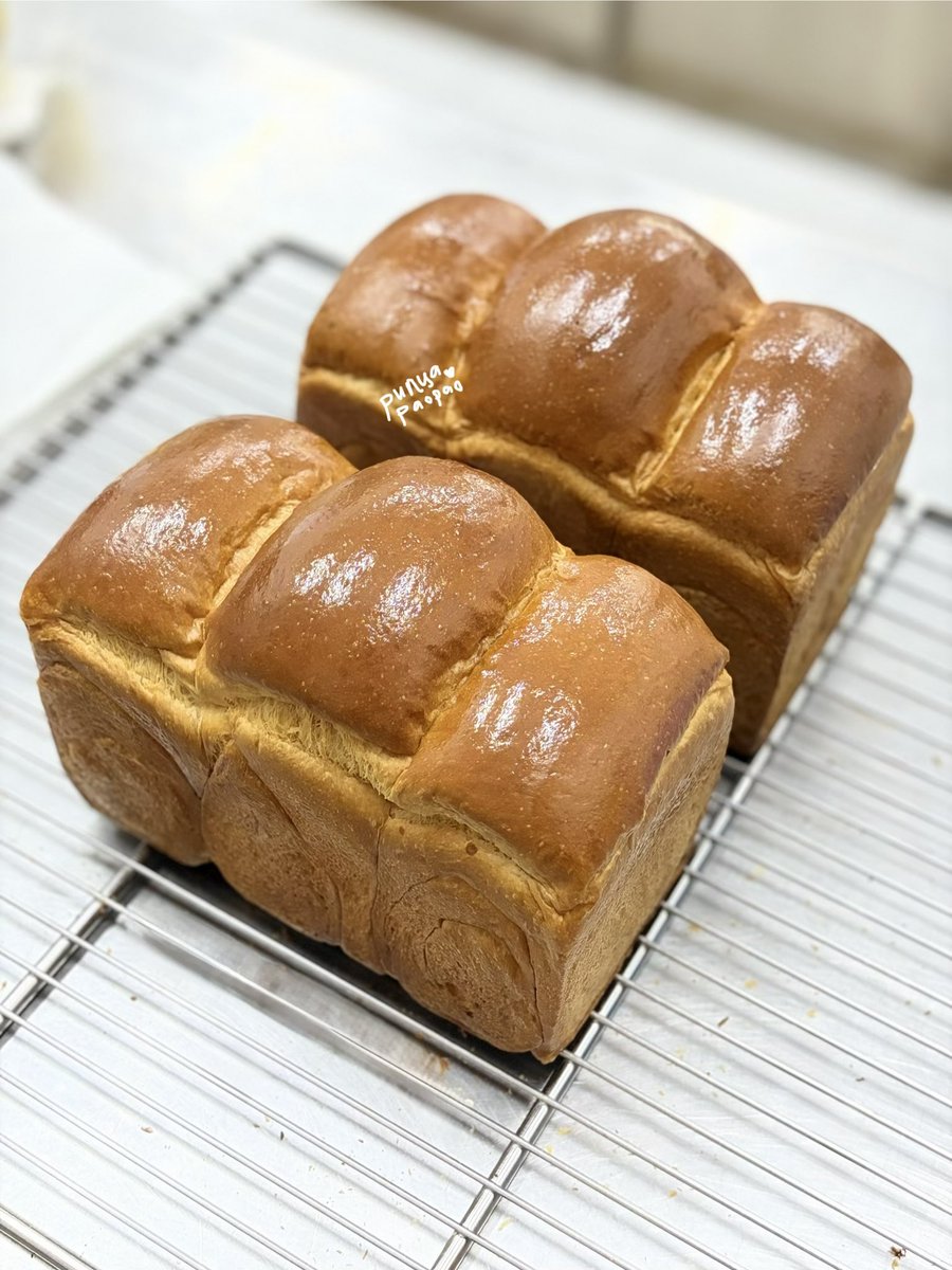 𝕡𝕒𝕠 𝕡𝕒𝕠 tweet media