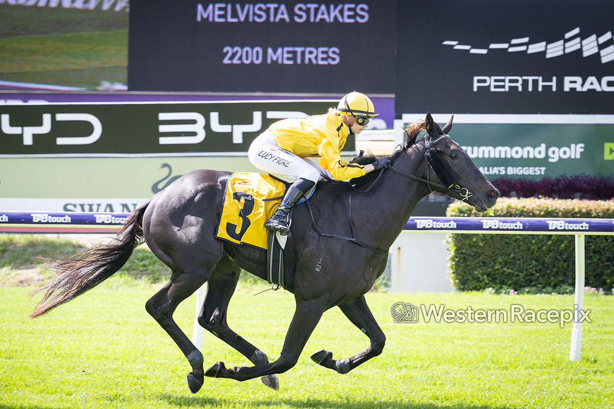 Western Racepix tweet media