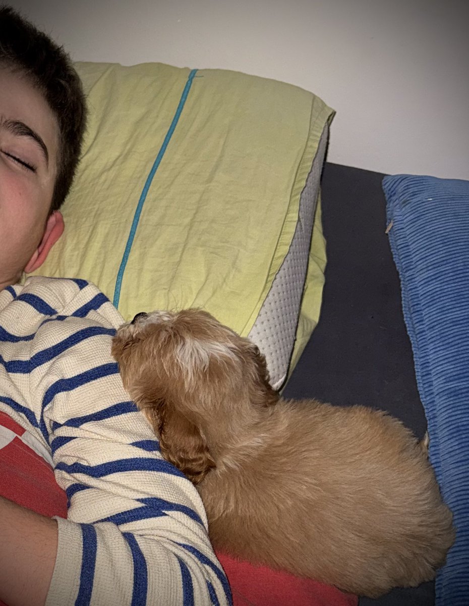 Daphna Kuhr tweet media