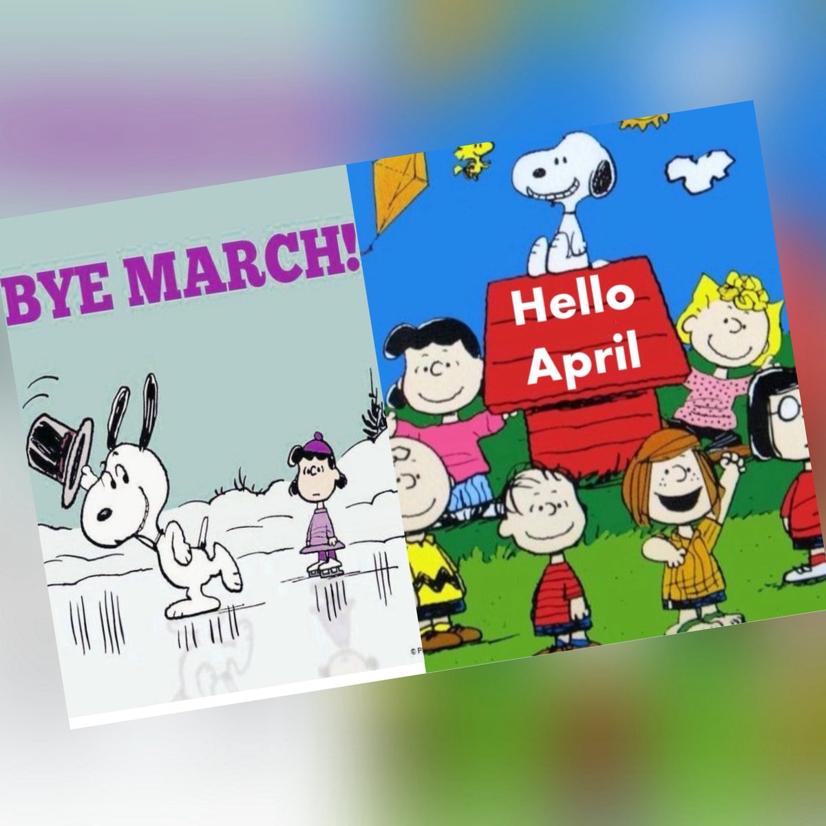 Suyapa Regina Elvir (@elvirsurela) on Twitter photo 