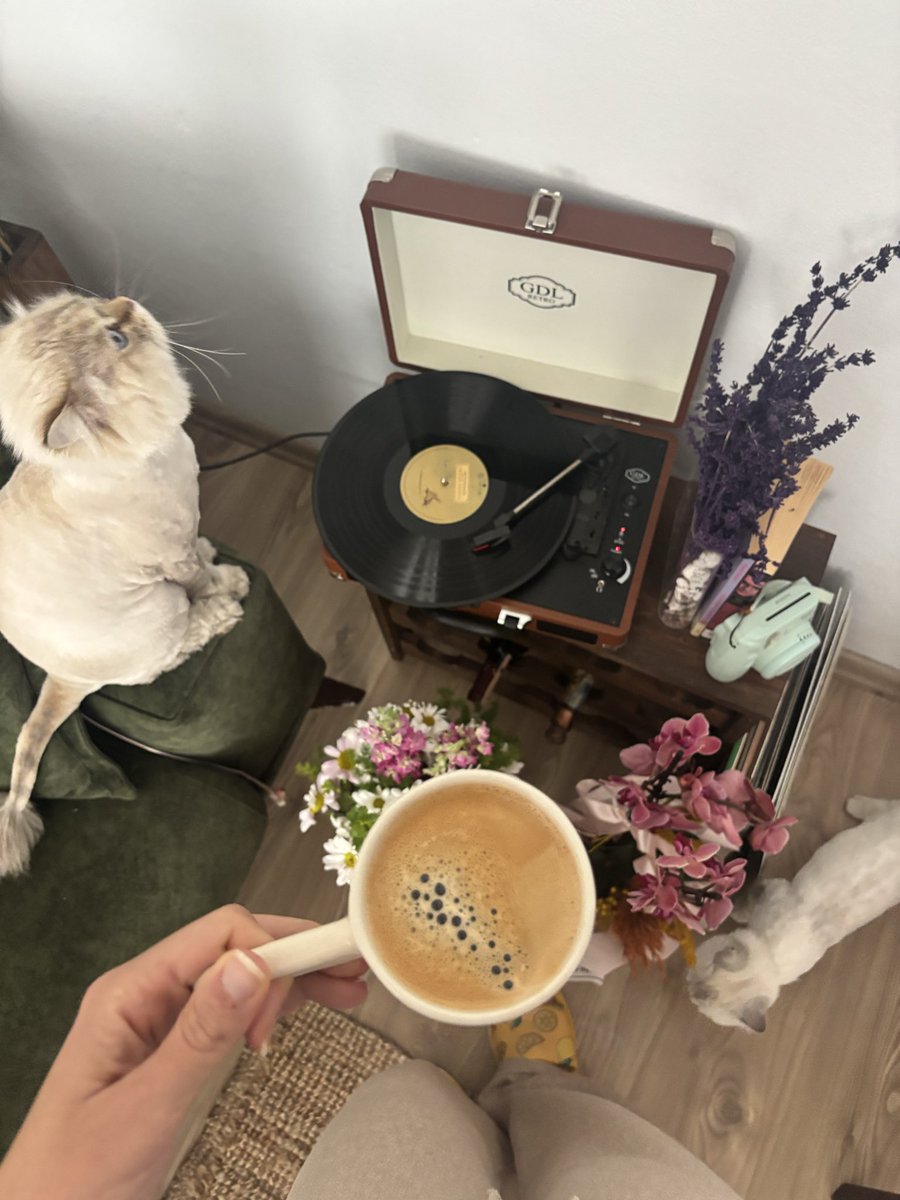 Seeda İ.🍒🧩 tweet media