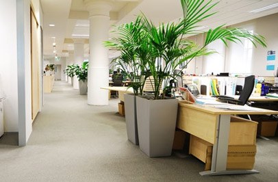 PI & ORP tweet media