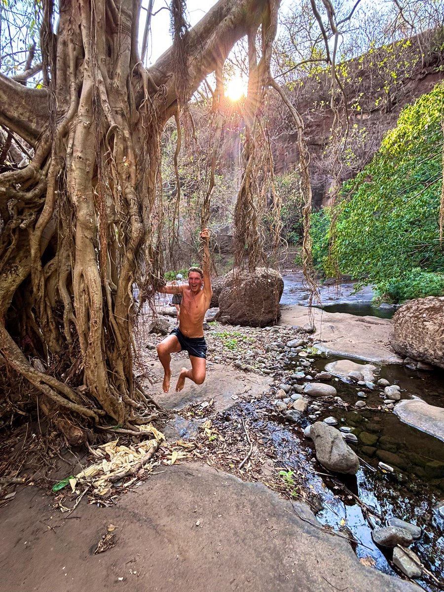 Bitcoin Hotel tweet media