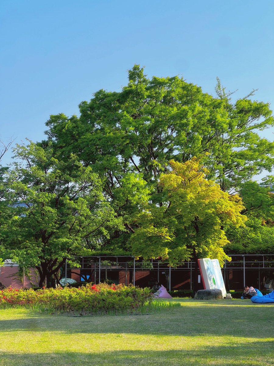 김풀잎 tweet media