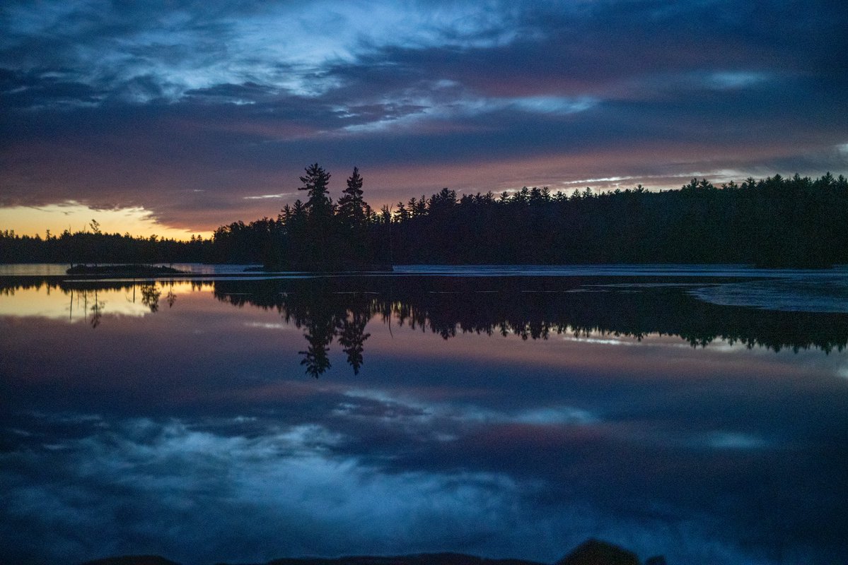 Benevolent DoGooder tweet media