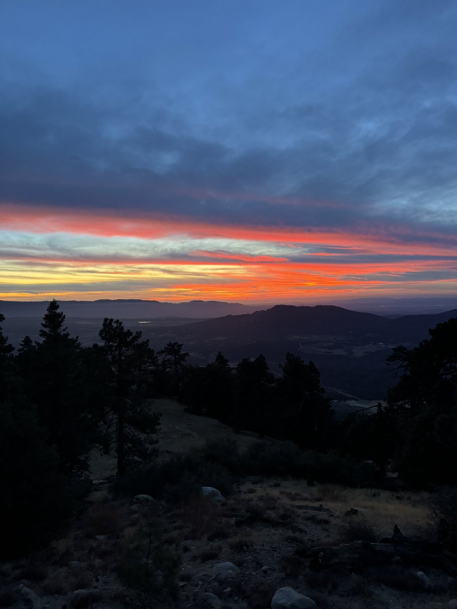 Benevolent DoGooder tweet media