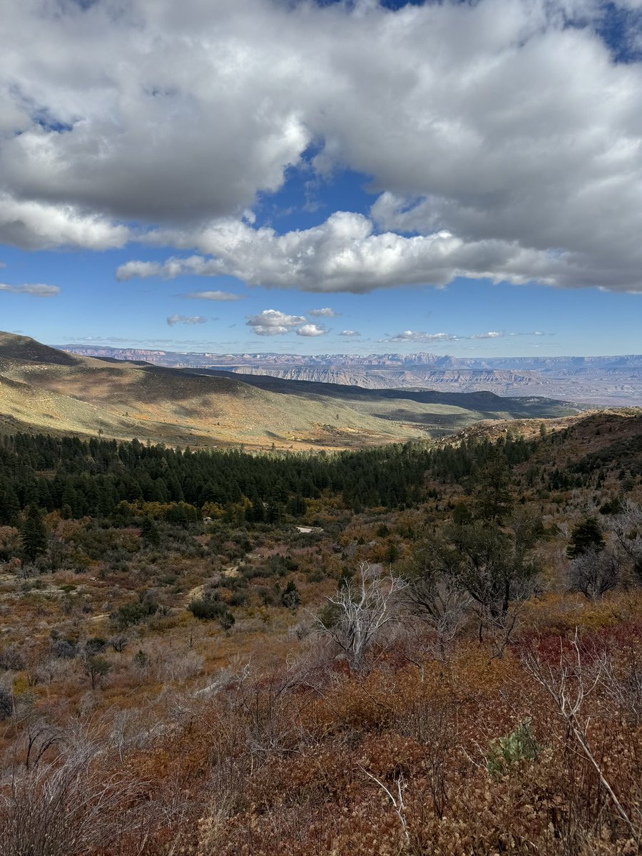 Benevolent DoGooder tweet media