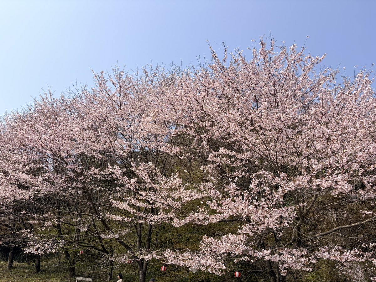 中井ペイント@静岡市浜松市 tweet media