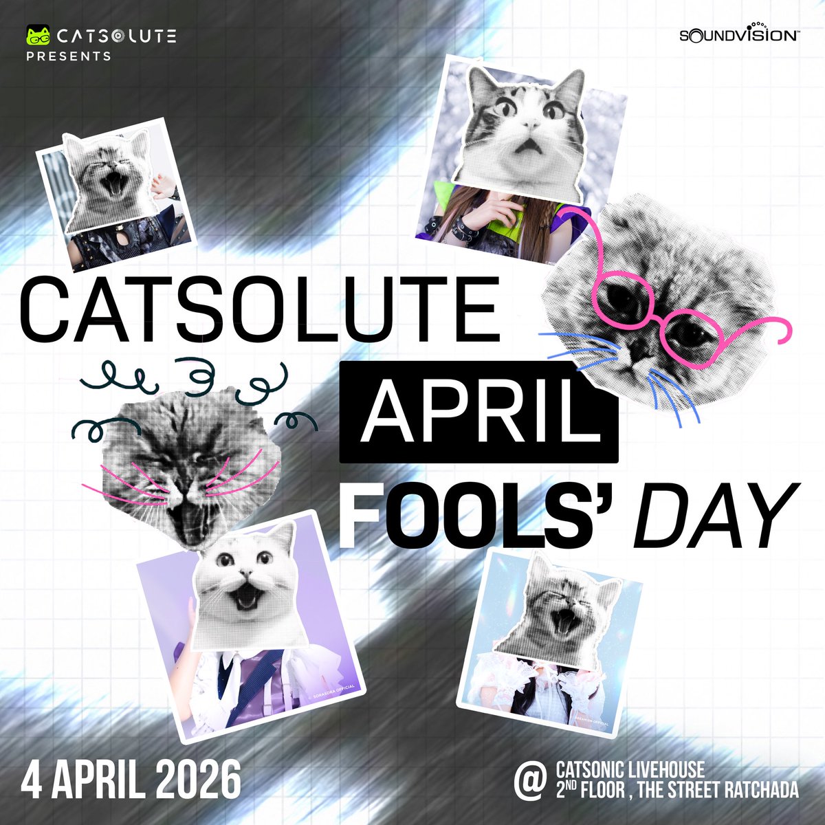 Catsolute tweet media