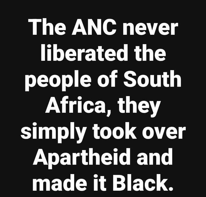 SewerSquirrel tweet media