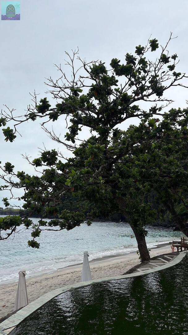 Tanyarl 💚 tweet media