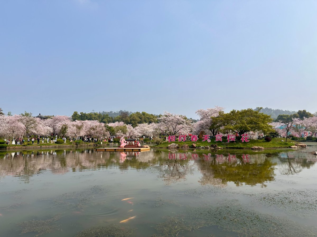 Optics Valley of China tweet media