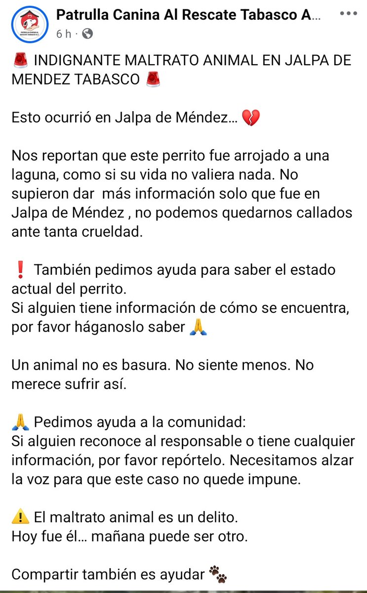 Abogado Animalista tweet media