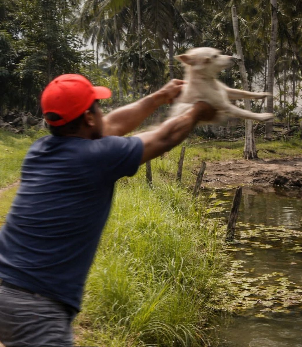 Abogado Animalista tweet media