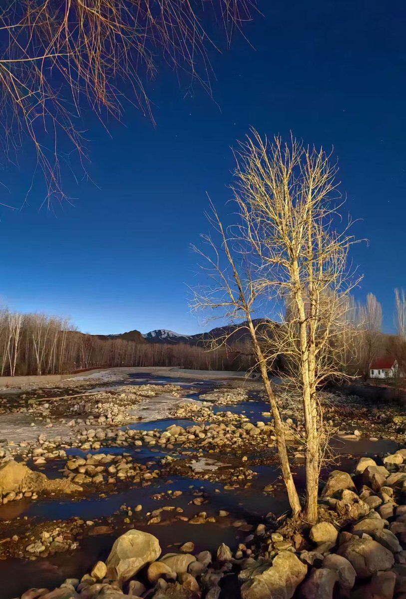 行者·心会累（点赞必回） tweet media