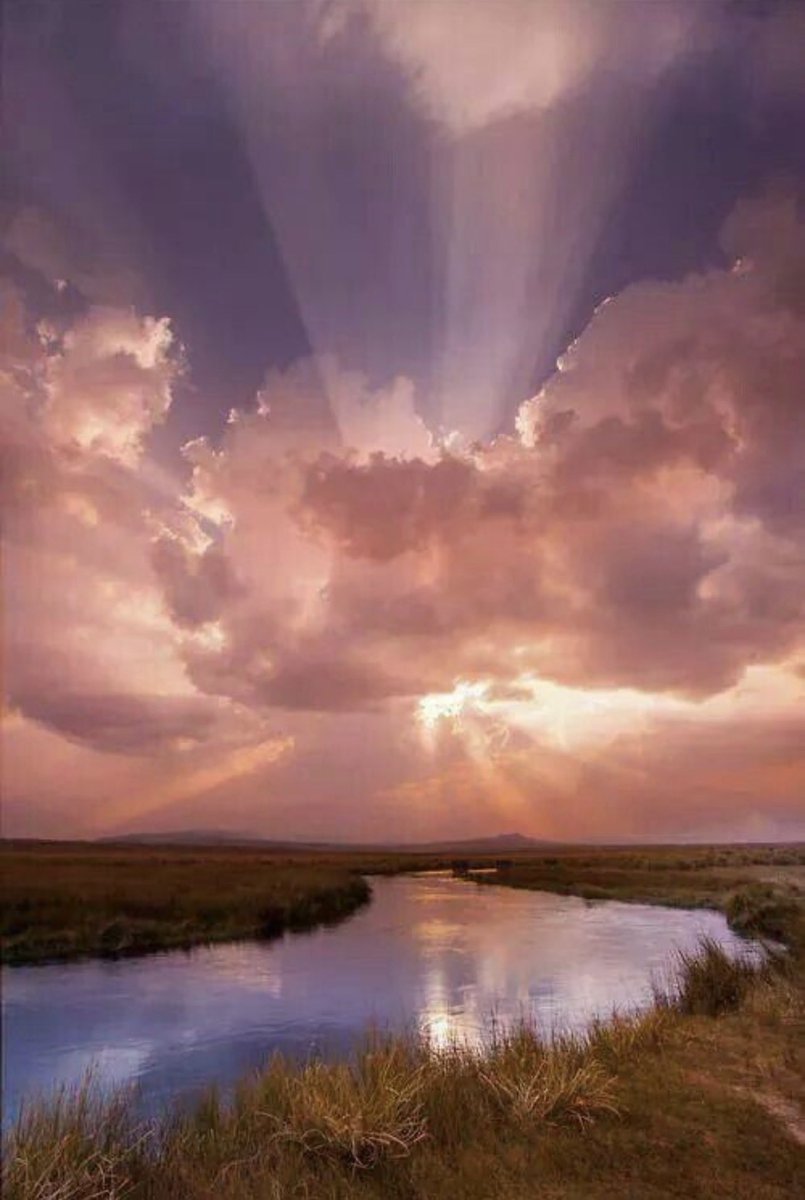 Just a Pilgrim tweet media