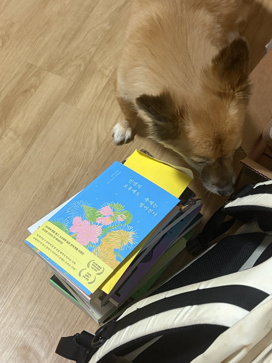 김자라 tweet media