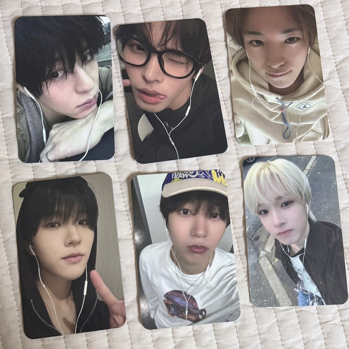 댕댕/이벤트중! tweet media