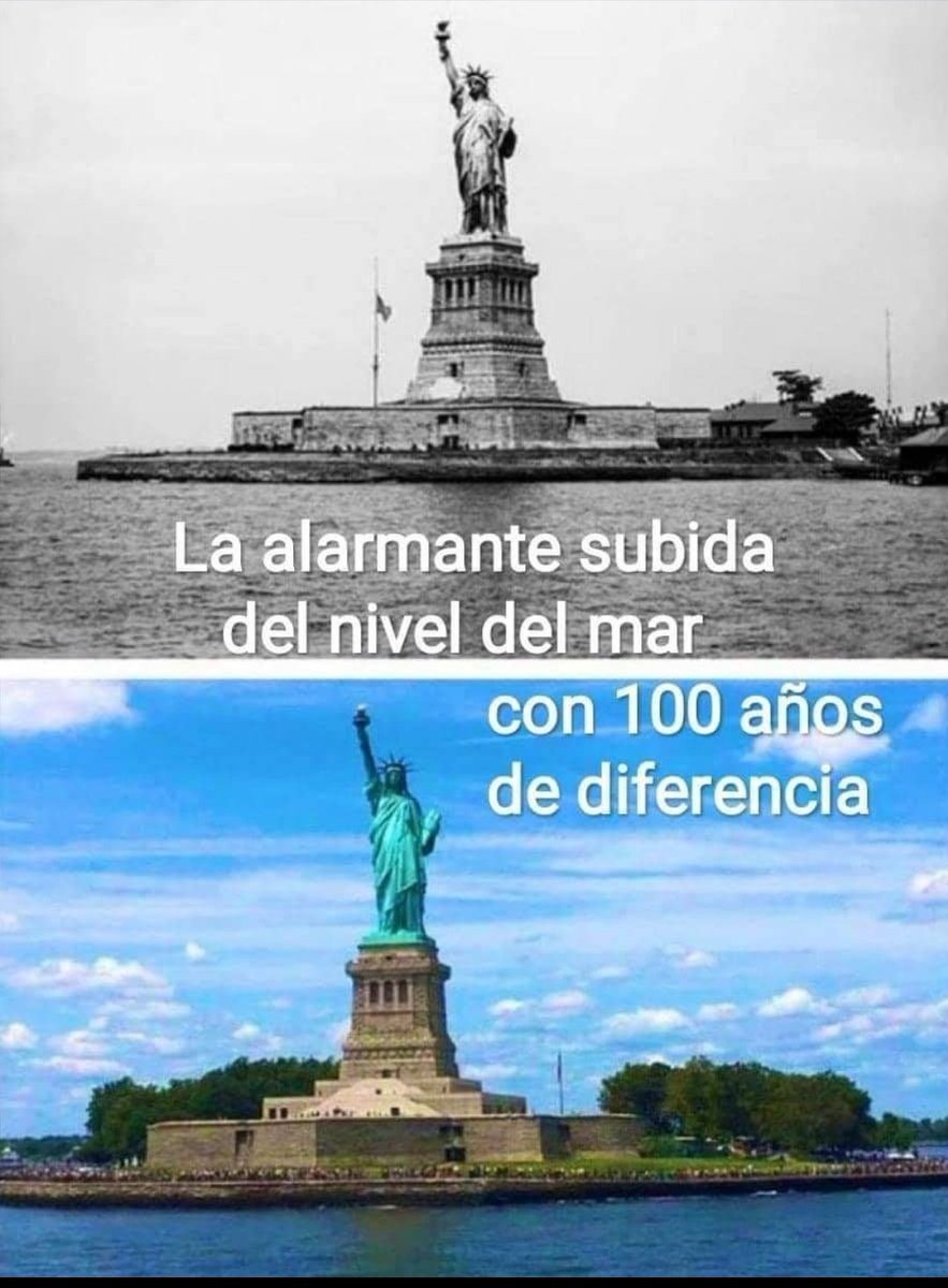 Ximo A. 🇪🇸💚🇪🇸 tweet media