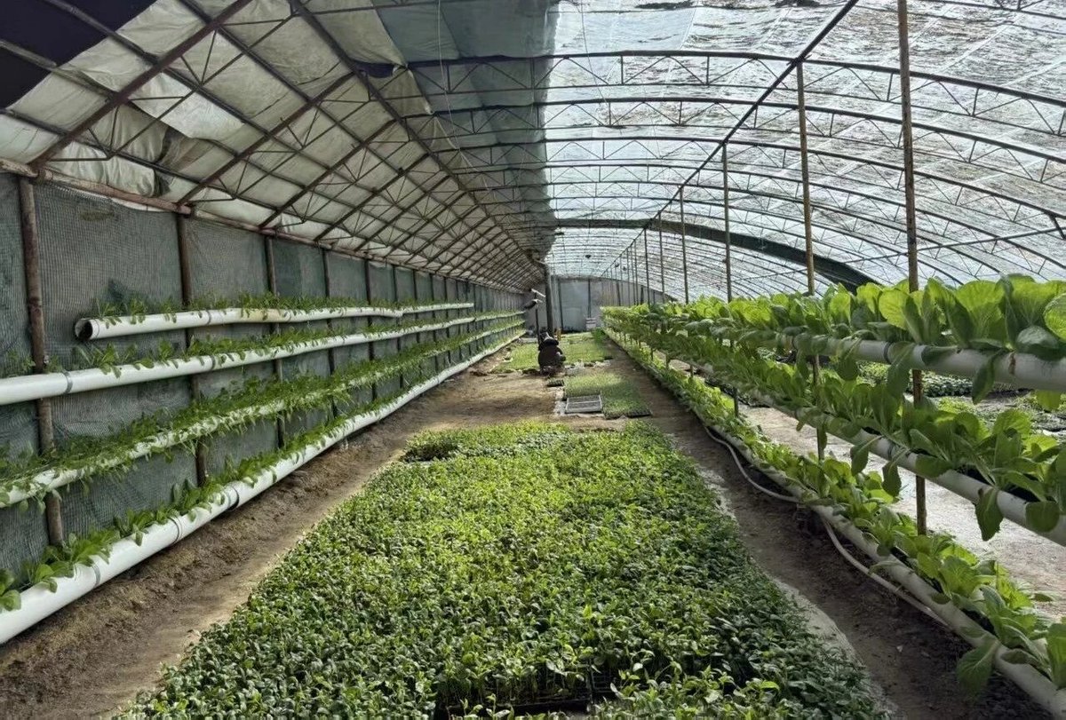 @XJ-hexieksh🇨🇳（互fo） tweet media