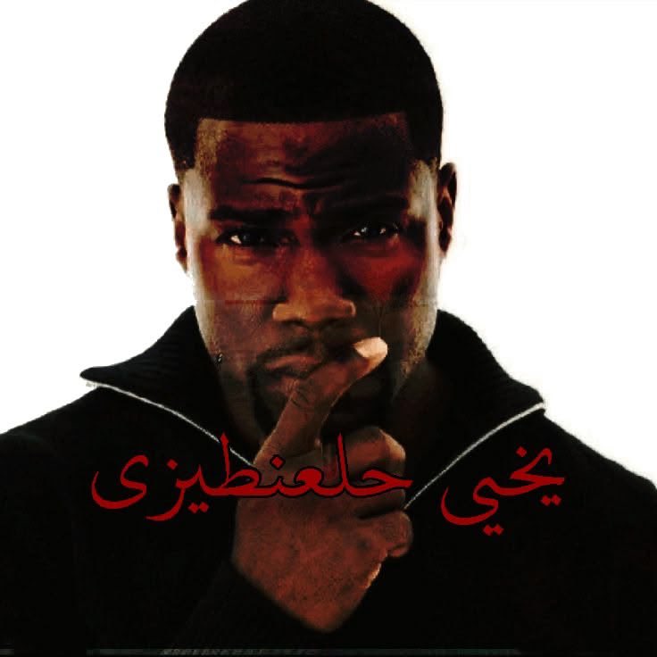 veloura ⚘ tweet media