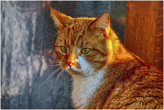 Derek Radaker tweet media