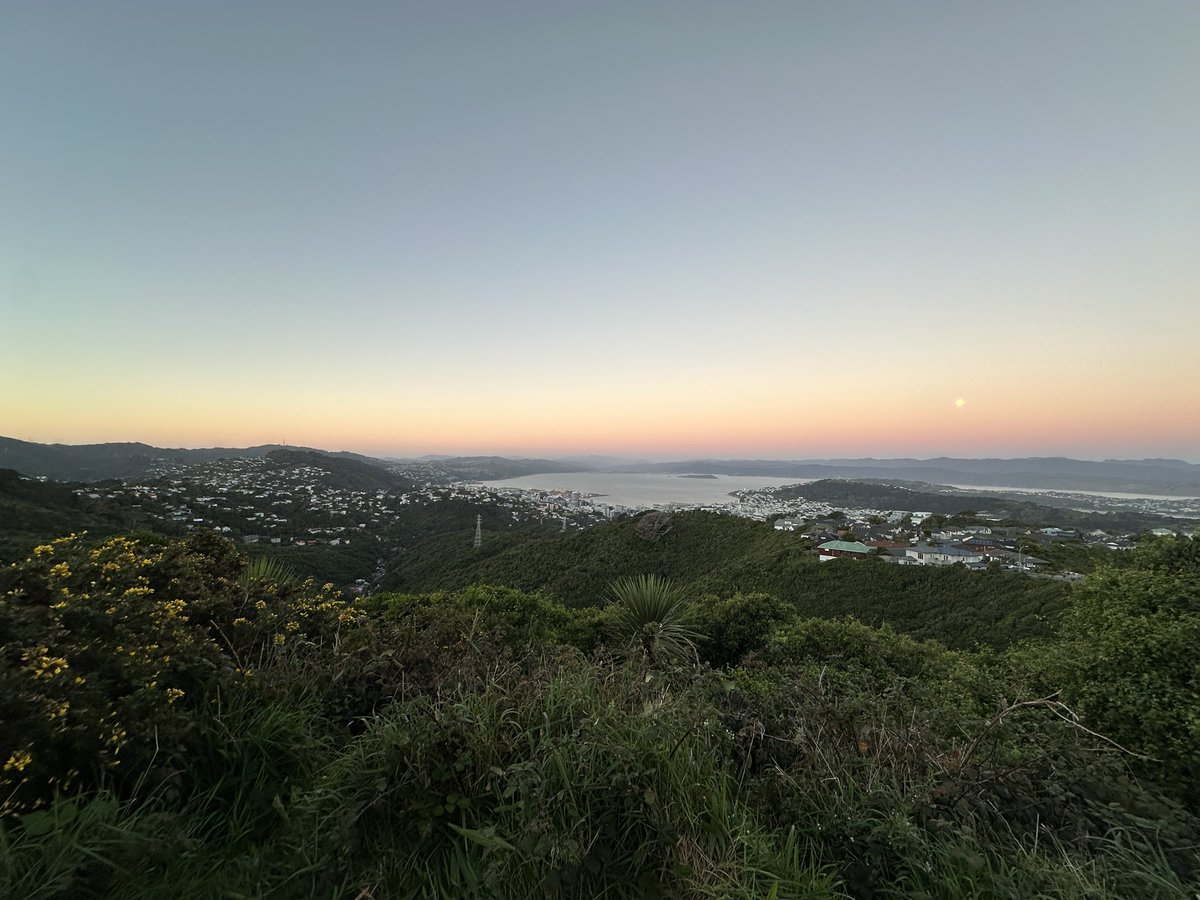 Geordie Rogers tweet media