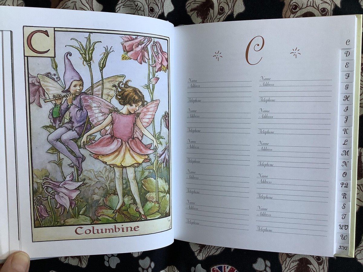 WatsonsVintage's tweet image. Happy Wednesday to all at #EarlyBiz This is a BEAUTIFUL and Useful #GiftIdea VINTAGE 2003 'Flower Fairies Address Book' - Stunning Book with Cicely Barker Colour Plates  etsy.me/3PSvNWb via @Etsy
