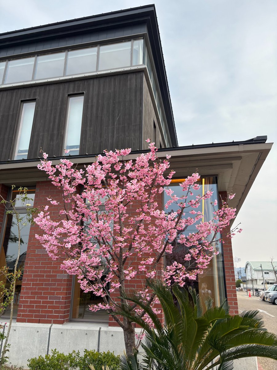新年度がスタートしました🎉
今年度も瀬戸内市民図書館をよろしくお願いします🙇‍♀️🙇🙇‍♂️
瀬戸内市民図書館開館以来の来館者数が、2026年3月31日で、1,496,080人となりました。150万人まで、あと、3,920人です🤗