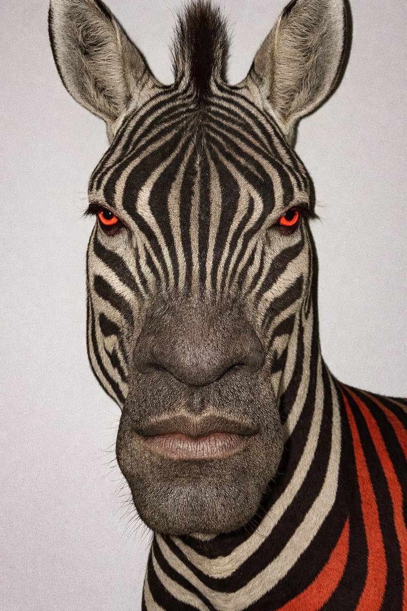 ll Biscione tweet media