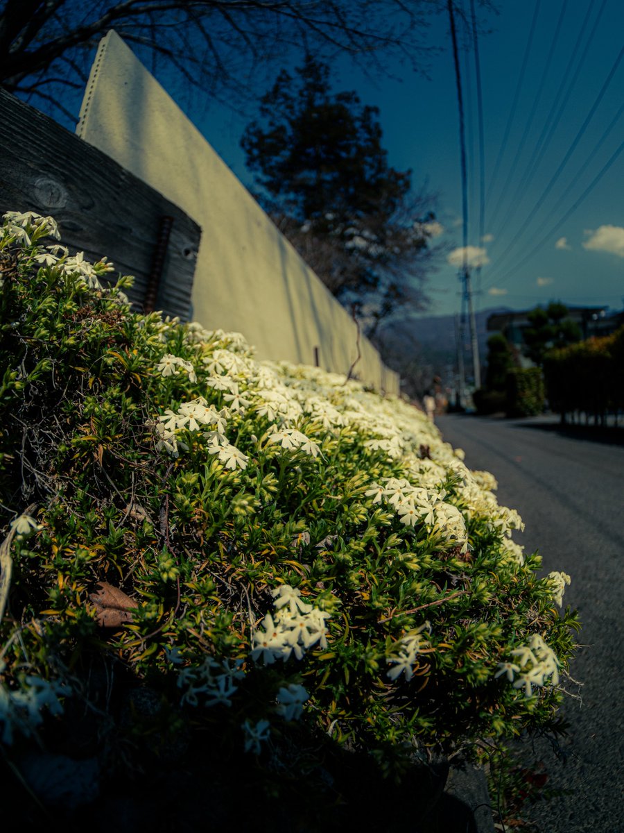 びびっとぼーい tweet media