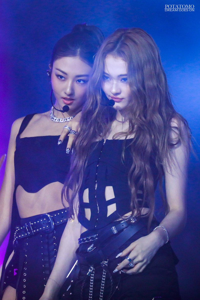 ᴘᴏᴛᴀᴛᴏᴍᴏ tweet media