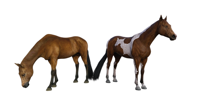 Estella Gill tweet media