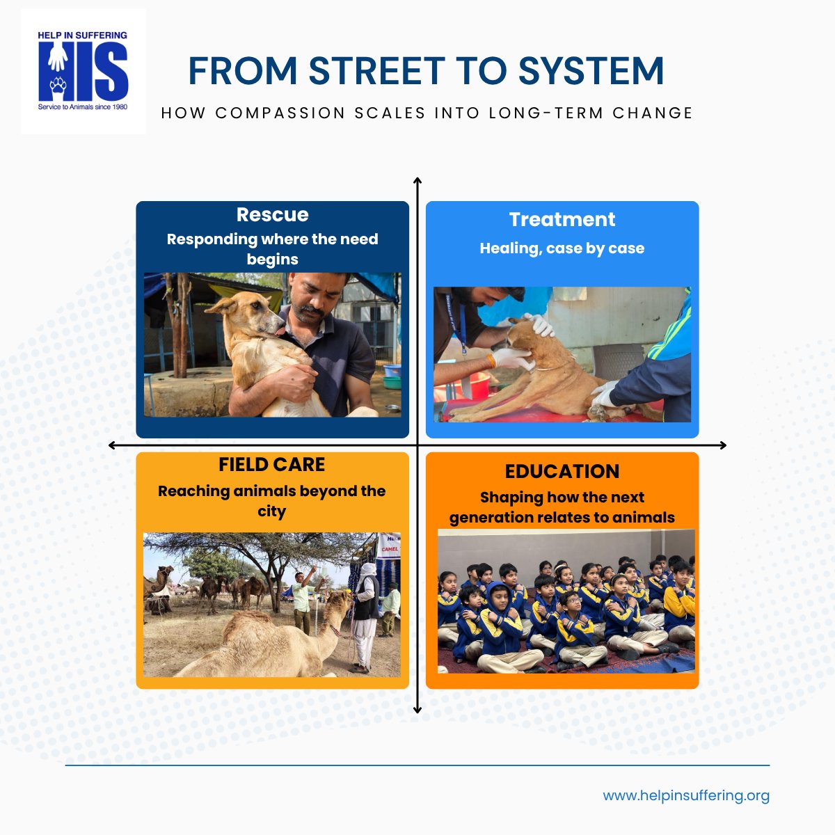 HelpSufferingIN's tweet photo. For over four decades, Help in Suffering has worked where compassion meets public health and where long-term change is built, case by case.
Q1 2026:
2,200+ animals rescued
11,500+ dogs vaccinated
1,500+ camels treated
~2,000 children reached
The Numbers show a System that works. https://t.co/3DhOE4hr8L