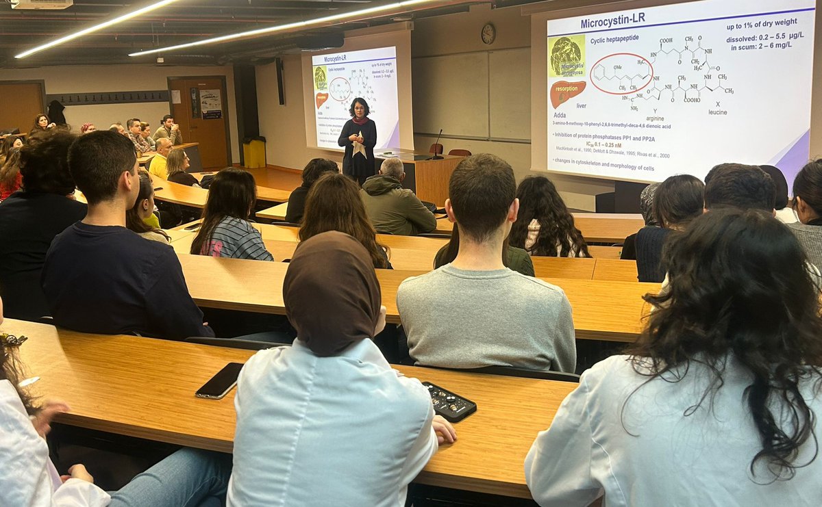 Meriç Albay tweet media