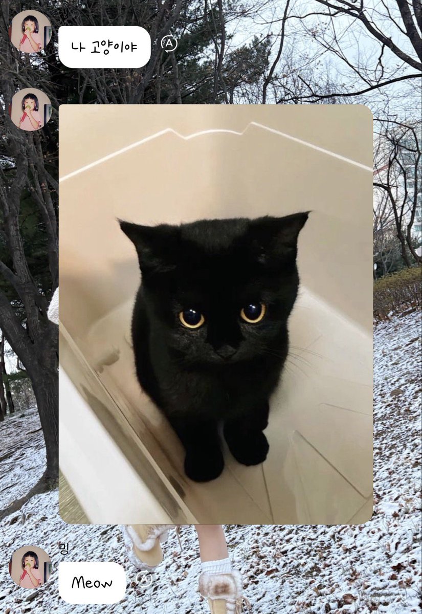 돌멩이 tweet media