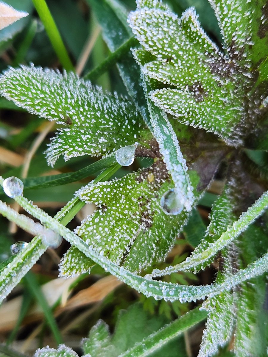 r.e.g.i.n.aCaptures tweet media