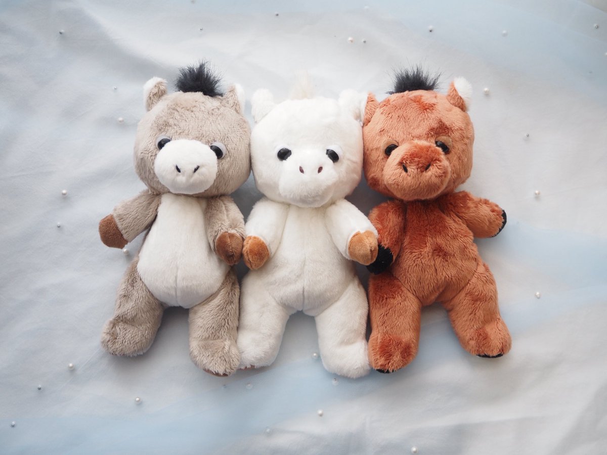 Mon poussin モンプサン tweet media