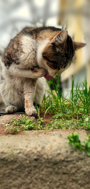 Nicholas Ortiz tweet media