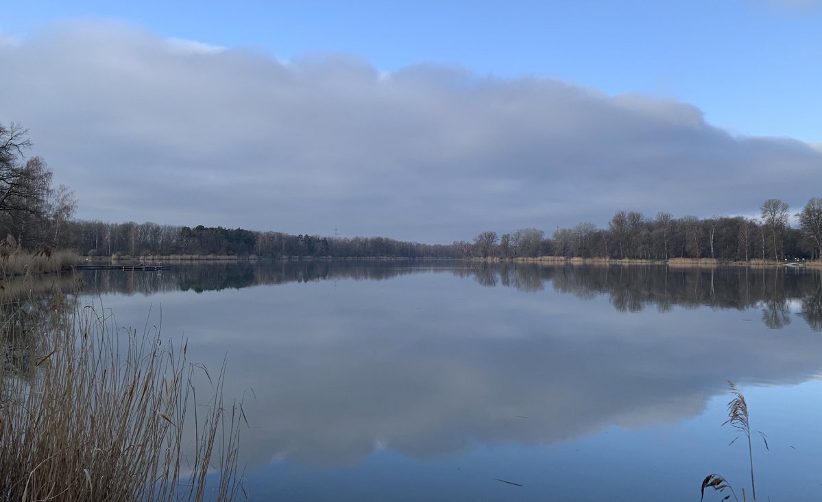 Don Alphonso tweet media