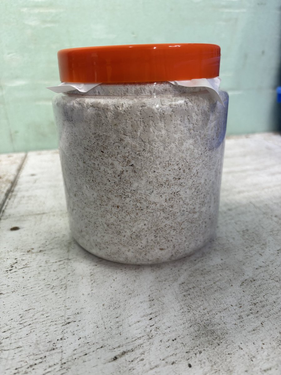 神長きのこ園生産部A tweet media