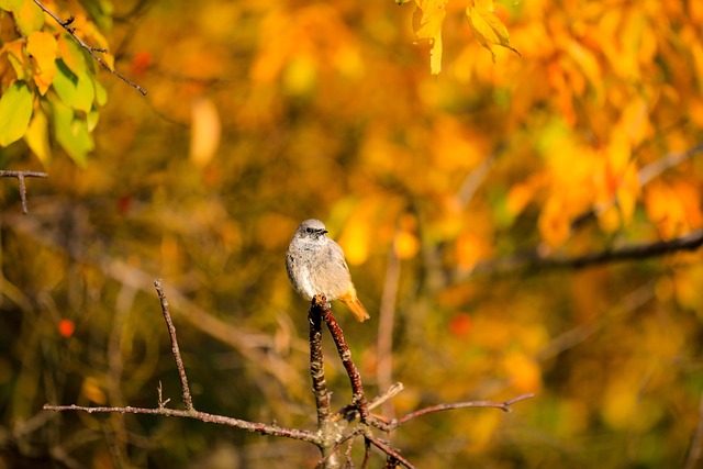 Kate Harris tweet media