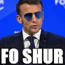 Mircea Rilă tweet media